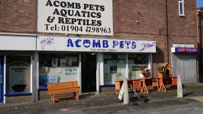 Acomb Pets Aquatics & Reptiles Picture 6