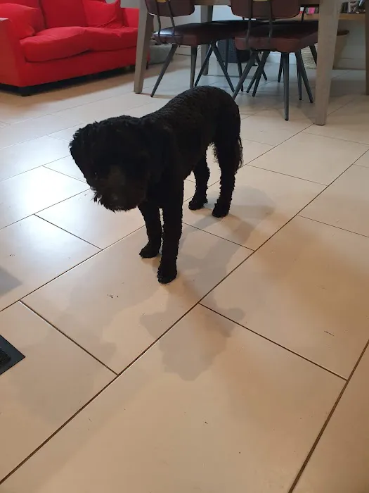 Acomb Pets Aquatics & Reptiles Picture 7