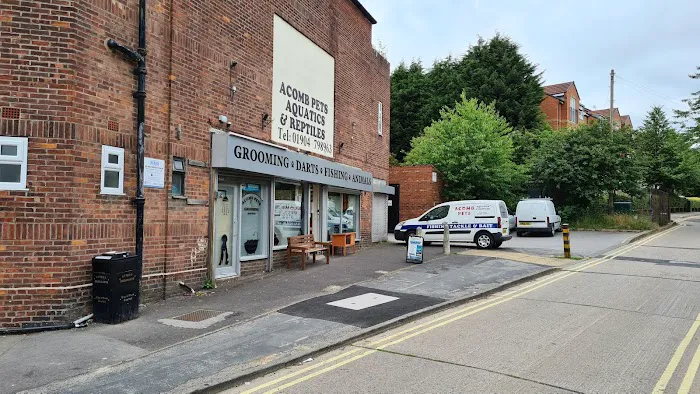 Acomb Pets Aquatics & Reptiles Picture 8