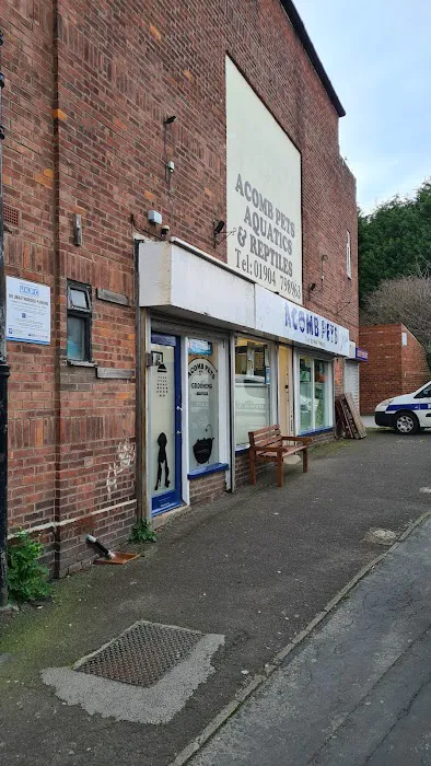 Acomb Pets Aquatics & Reptiles Picture 10