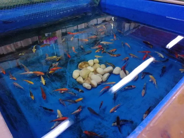 Maidenhead Aquatics York Picture 9