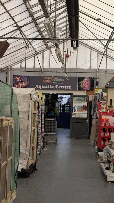 Maidenhead Aquatics York Picture 3