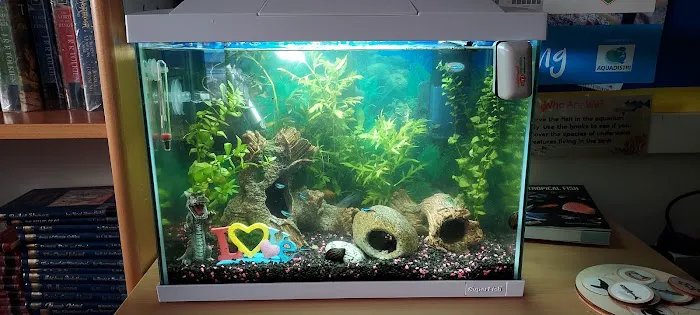 Maidenhead Aquatics York Picture 4