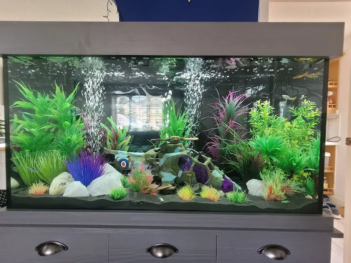 Maidenhead Aquatics York Picture 2