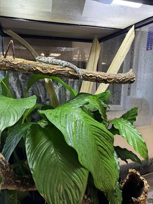 Fully Scaled Picture 3