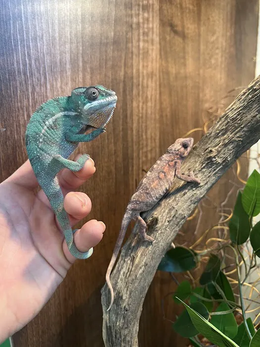 Fully Scaled Picture 5