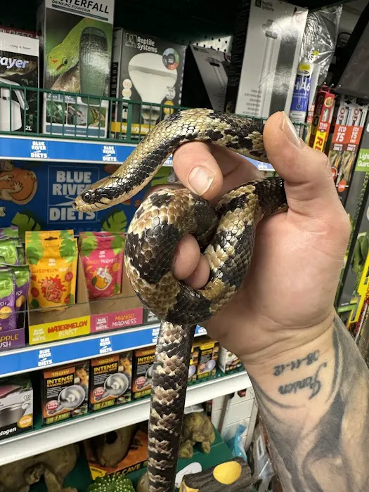 Fully Scaled Picture 7