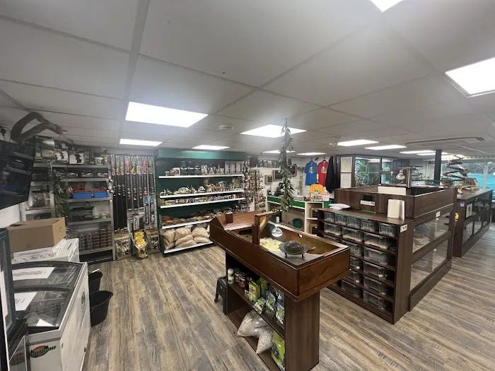 Fully Scaled Picture 4