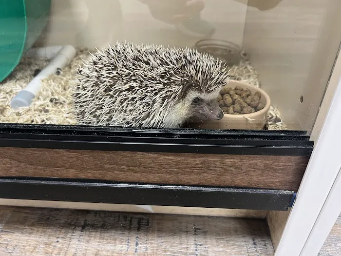 Fully Scaled Picture 1