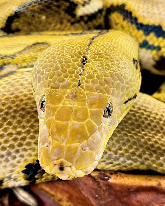 Fully Scaled Picture 9