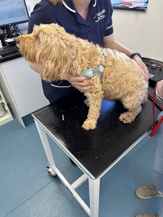 Clevedale Veterinary Group, Guisborough Practice Picture 1