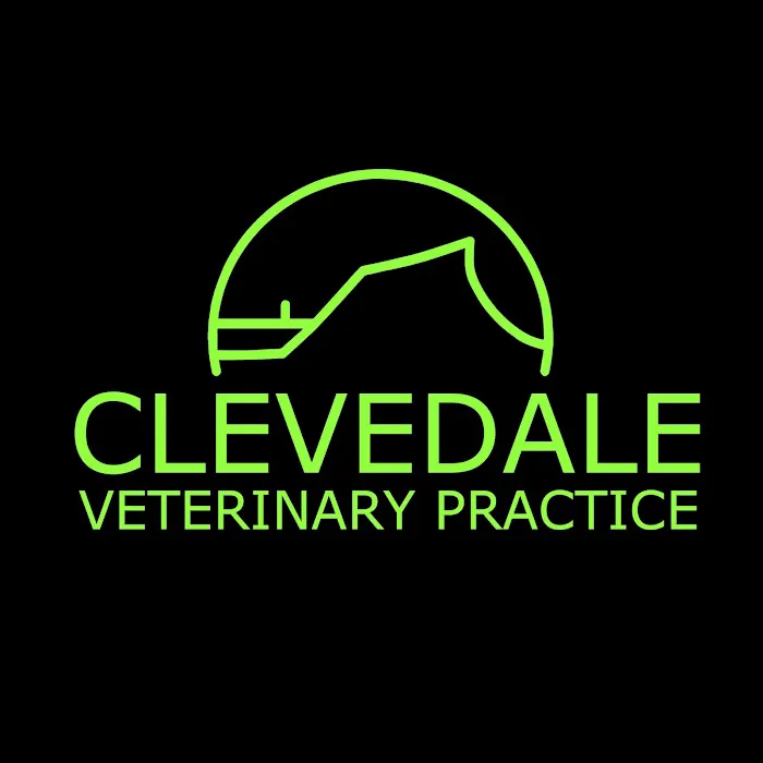 Clevedale Veterinary Group, Guisborough Practice Picture 2