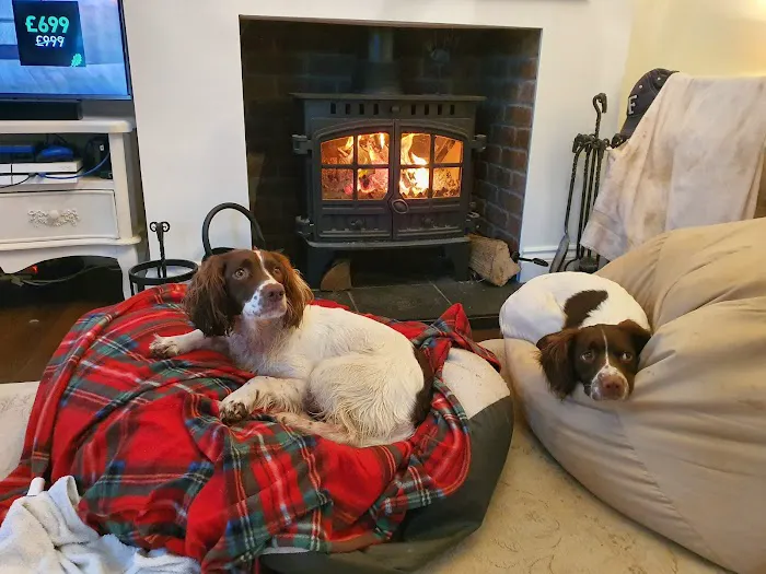 Wilton House Veterinary Clinic Picture 10