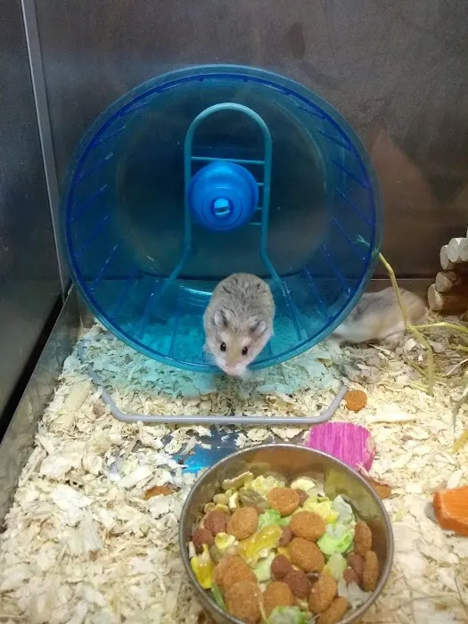 Pets at Home York Picture 10