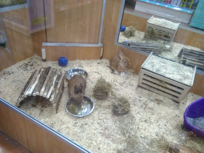 Pets at Home York Picture 9