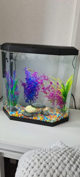 Pets at Home York Picture 1