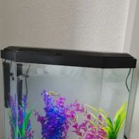 Pets at Home York ico