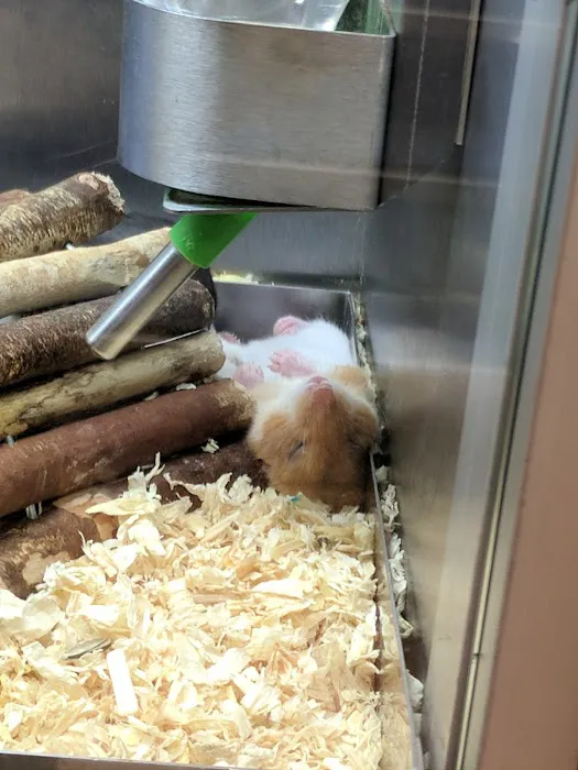 Pets at Home York Picture 4