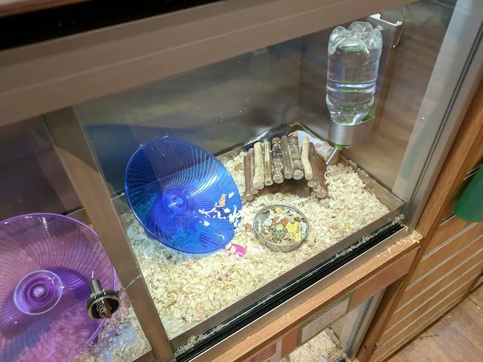 Pets at Home York Picture 6