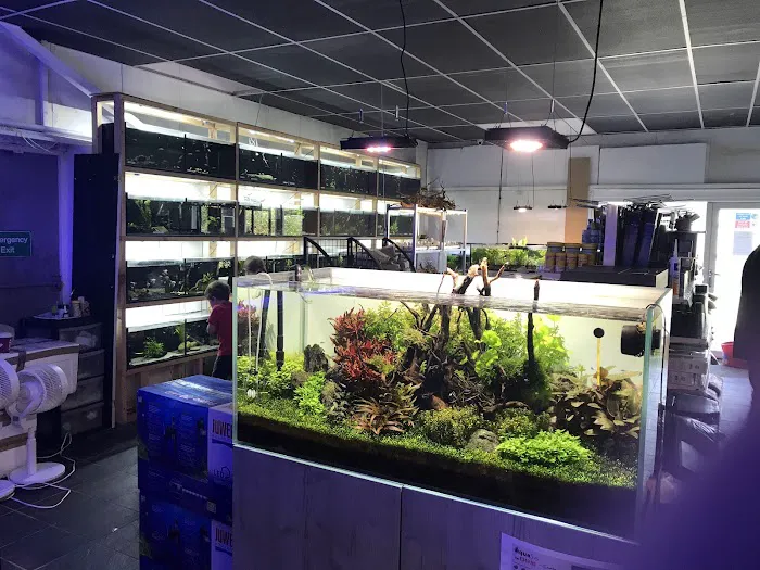 Ocean Corals & Reptiles Picture 4