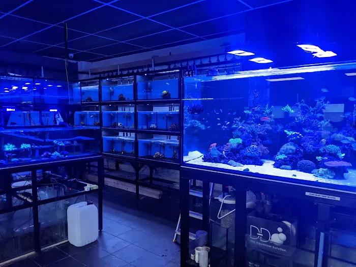 Ocean Corals & Reptiles Picture 2