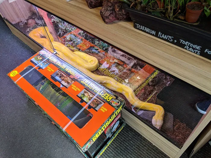 Ocean Corals & Reptiles Picture 8