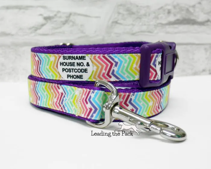 Leading the Pack Picture 4