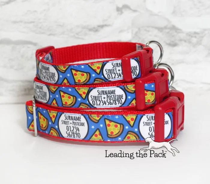 Leading the Pack Picture 2