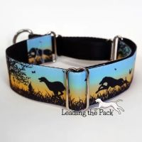 Leading the Pack ico