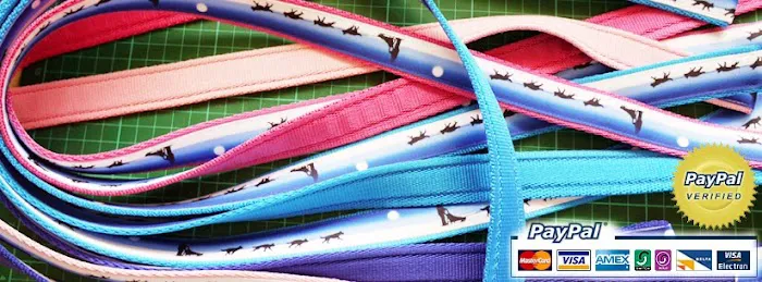 Leading the Pack Picture 5