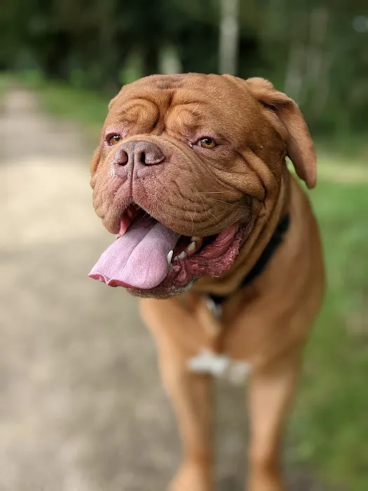 Pets Pantry Picture 8