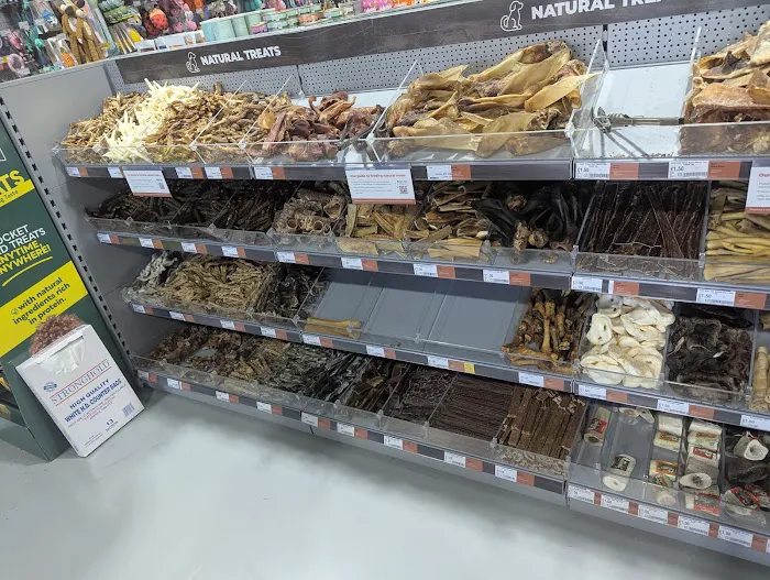 Jollyes - The Pet People York Picture 1