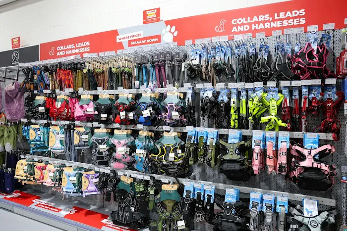 Jollyes - The Pet People York Picture 7