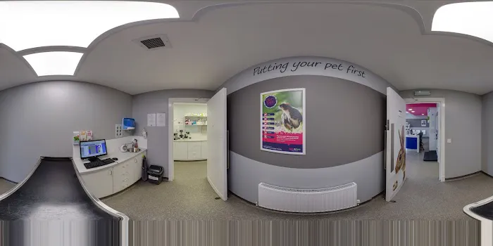 Vets4Pets York Picture 7
