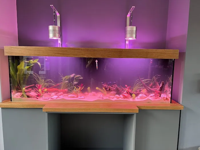 Simply Corals Picture 1