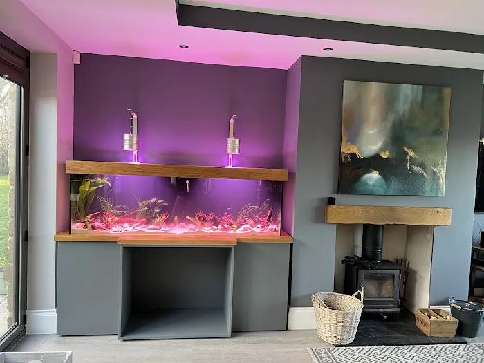 Simply Corals Picture 2