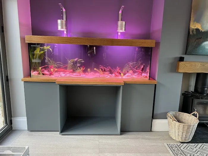 Simply Corals Picture 3