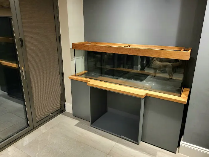 Simply Corals Picture 6