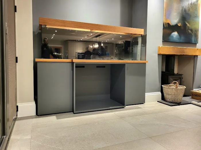 Simply Corals Picture 9