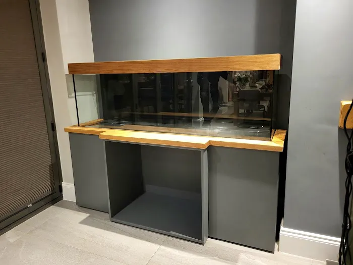 Simply Corals Picture 8