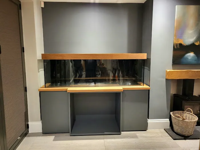 Simply Corals Picture 7