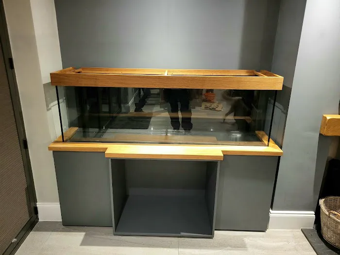 Simply Corals Picture 10