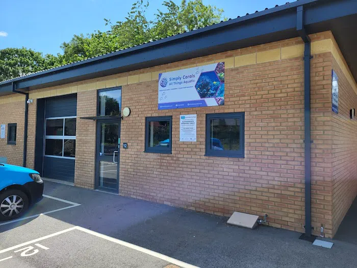 Simply Corals Picture 4