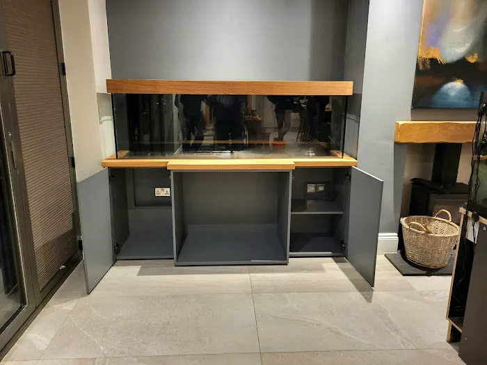 Simply Corals Picture 5