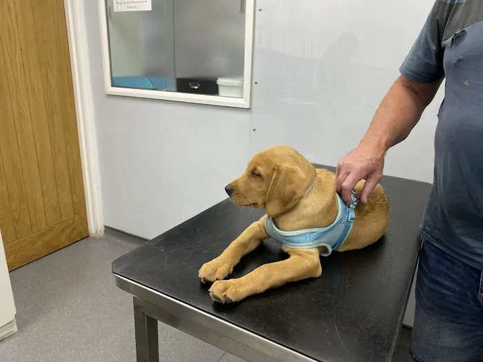 Tower Veterinary Group, Haxby Surgery Picture 5