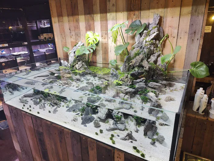 Snuffle and Swim Picture 7