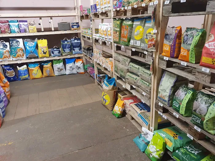 Snuffle and Swim Picture 8