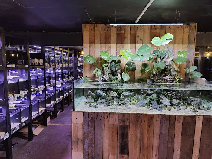 Snuffle and Swim Picture 6