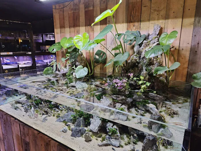 Snuffle and Swim Picture 4