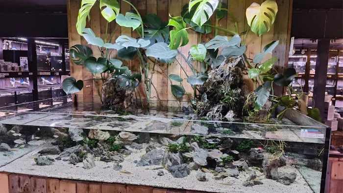 Snuffle and Swim Picture 10